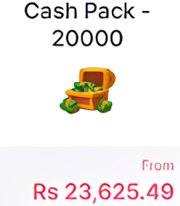 Cash Pack - 20000