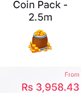 Coin Pack - 2.5m